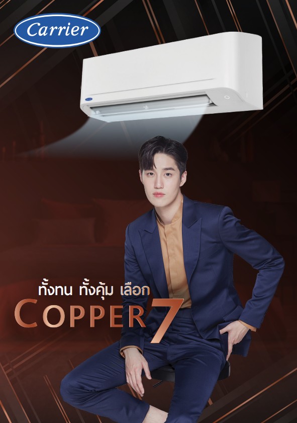 ./Wall Type COPPER7 TSAA SERIES-main.jpg